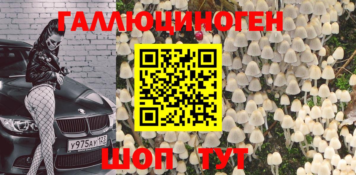Сокол  Галлюциногенные грибы Magic Shrooms  Галлюциногенные грибы Psilocybine cubensis  Вход с VPN 