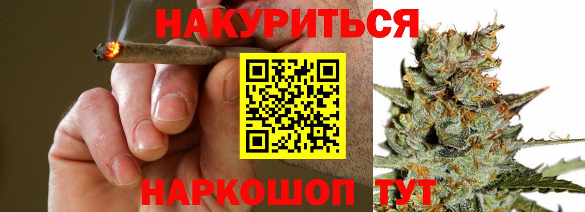 Марихуана OG Kush Сокол